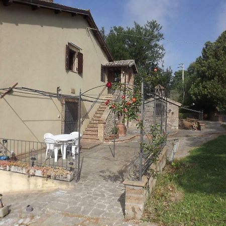 La Casetta Dei Gelsi Civitella dʼAgliano المظهر الخارجي الصورة